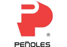Home 7 penoles